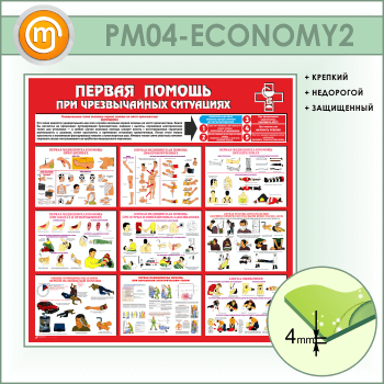 ����� ������� ������ ��� ������������ ���������� (PM-04-ECONOMY2)