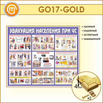 Стенд «Эвакуация населения при ЧС» (GO-17-GOLD)