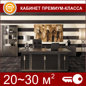 Кабинет премиум-класса (20-30 кв.м)