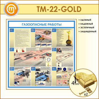 ����� ������������ ������� (TM-22-GOLD)