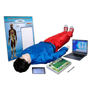 Робот-тренажер «Антон» для обучения навыкам СЛР