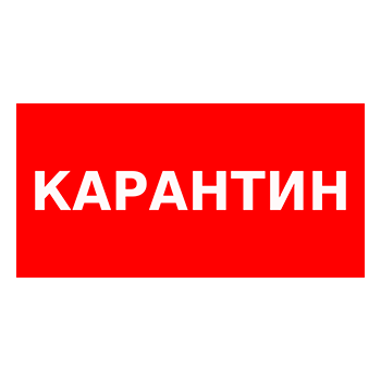 ���� ����������, Q12.1 (�������, 300�150 ��)