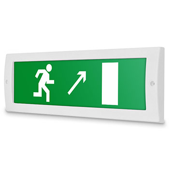 �������� ����� ������������ � �������������� ������ ������� ������, ������ (12�)